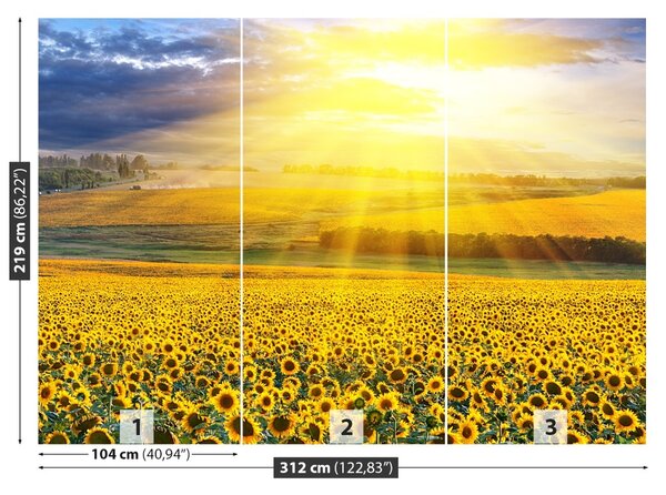 Carta da parati Campo di girasole 104x70 cm