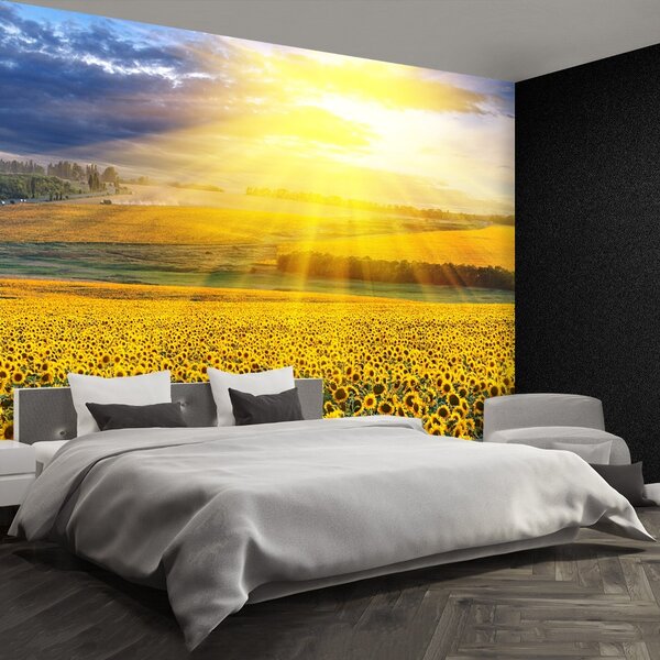 Carta da parati Campo di girasole 104x70 cm