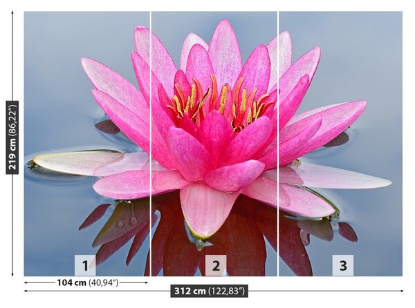 Carta da parati Lily di acqua rosa 104x70 cm