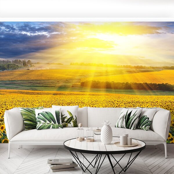 Carta da parati Campo di girasole 104x70 cm