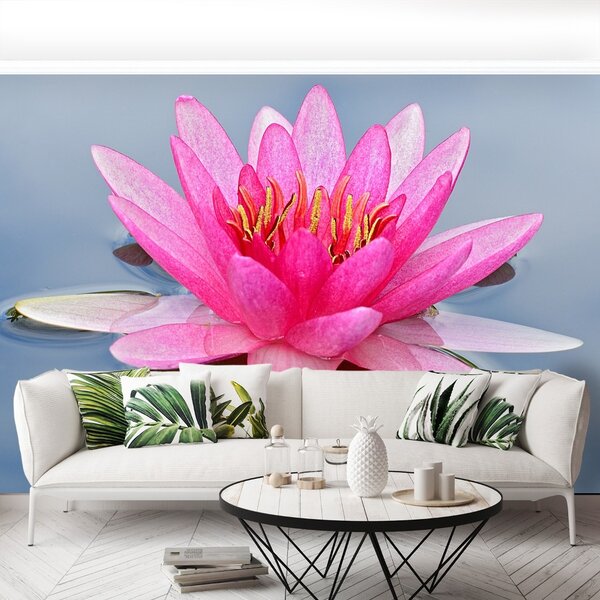 Carta da parati Lily di acqua rosa 104x70 cm