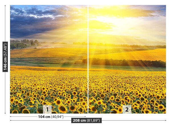 Carta da parati Campo di girasole 104x70 cm