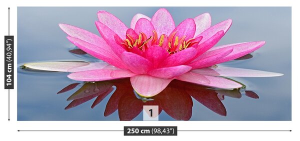 Carta da parati Lily di acqua rosa 104x70 cm