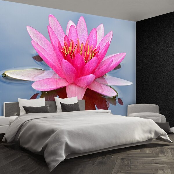 Carta da parati Lily di acqua rosa 104x70 cm