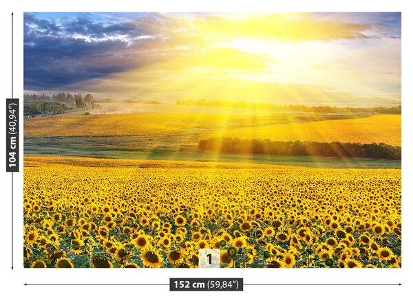 Carta da parati Campo di girasole 104x70 cm