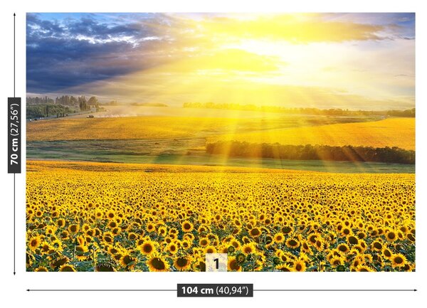 Carta da parati Campo di girasole 104x70 cm