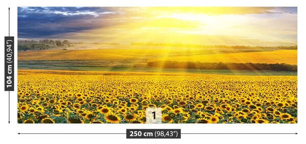 Carta da parati Campo di girasole 104x70 cm