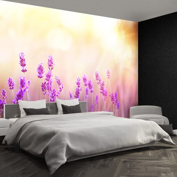 Carta da parati Lavanda dorata 104x70 cm