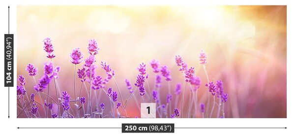 Carta da parati Lavanda dorata 104x70 cm