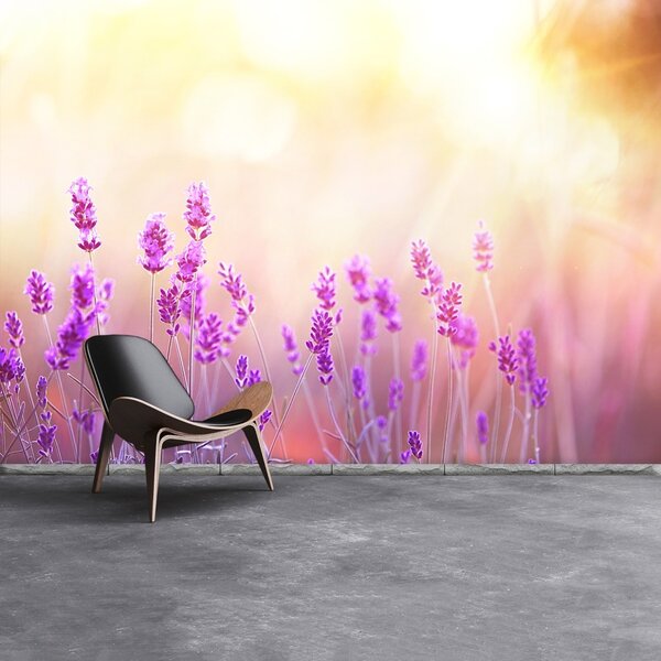Carta da parati Lavanda dorata 104x70 cm