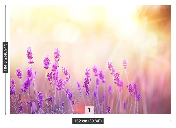 Carta da parati Lavanda dorata 104x70 cm