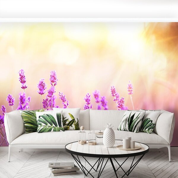 Carta da parati Lavanda dorata 104x70 cm