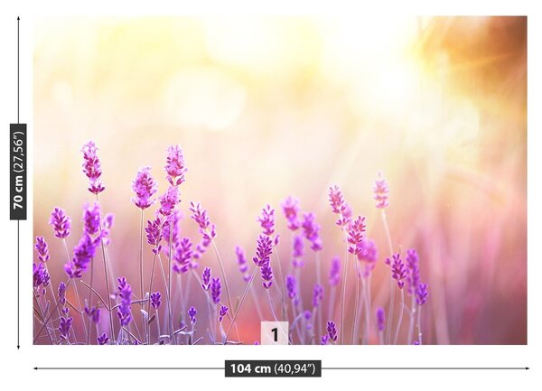Carta da parati Lavanda dorata 104x70 cm