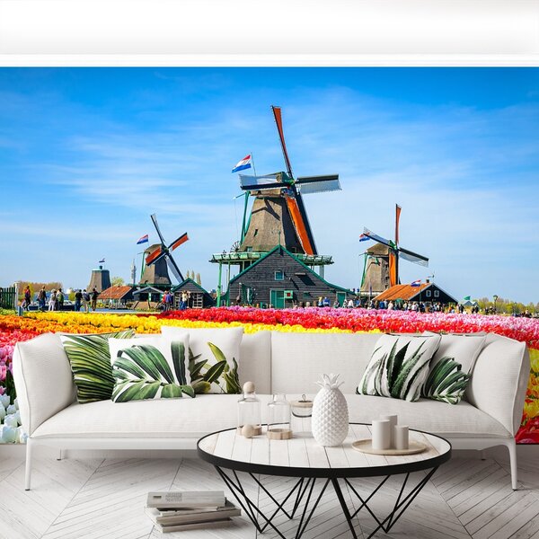 Carta da parati Tulipani a vento 104x70 cm