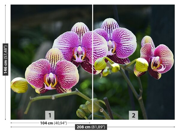 Carta da parati Orchidea viola 104x70 cm