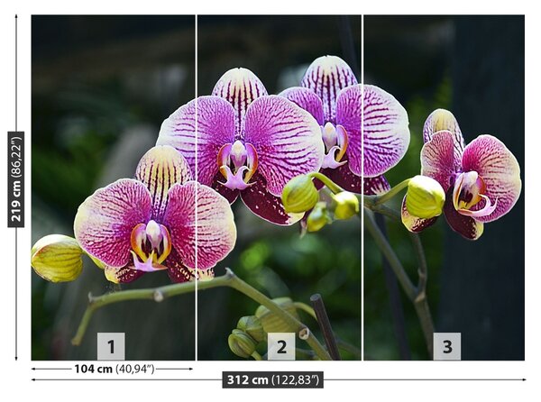 Carta da parati Orchidea viola 104x70 cm