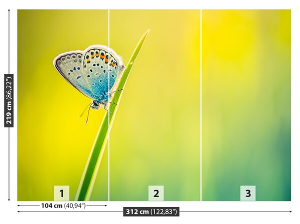 Carta da parati La farfalla 104x70 cm