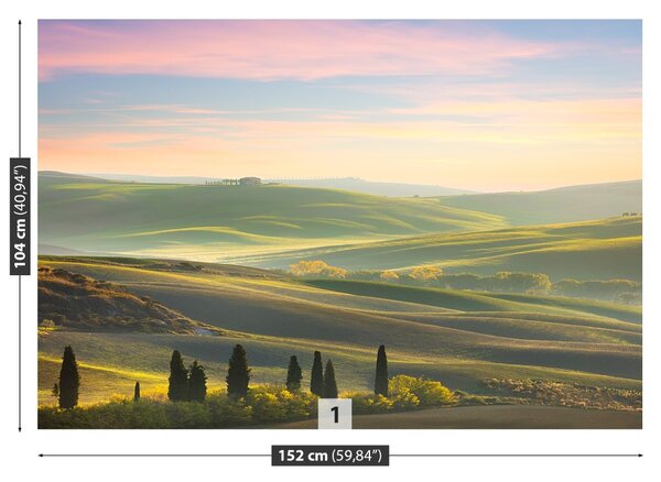 Carta da parati Cypressy toscana 104x70 cm