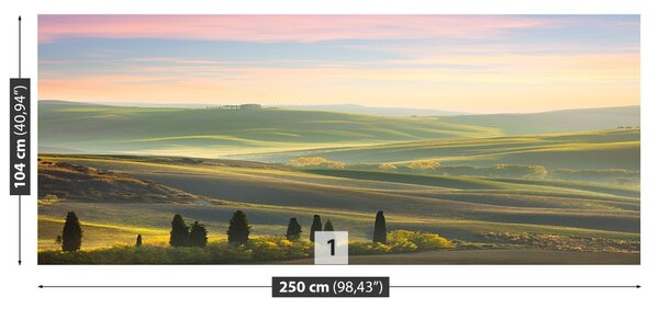Carta da parati Cypressy toscana 104x70 cm