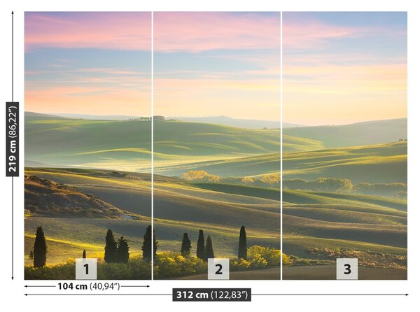 Carta da parati Cypressy toscana 104x70 cm