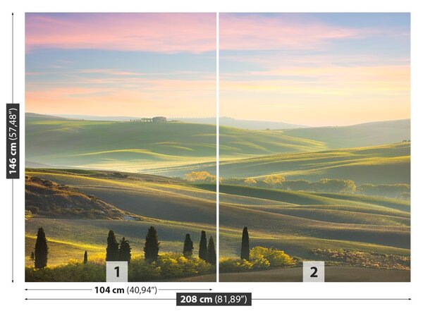Carta da parati Cypressy toscana 104x70 cm