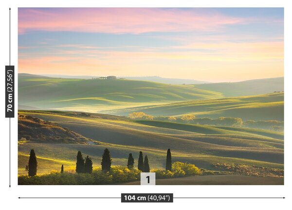 Carta da parati Cypressy toscana 104x70 cm