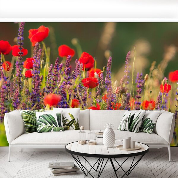Carta da parati Fiori di campo 104x70 cm