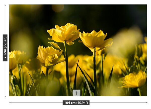 Carta da parati Tulipano giallo 104x70 cm