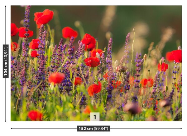 Carta da parati Fiori di campo 104x70 cm