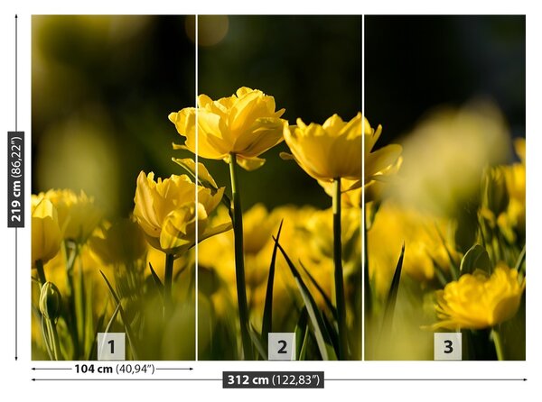 Carta da parati Tulipano giallo 104x70 cm