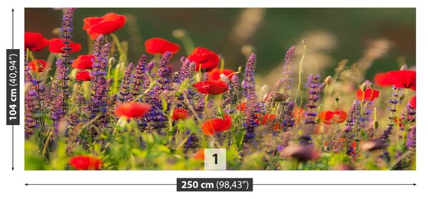 Carta da parati Fiori di campo 104x70 cm