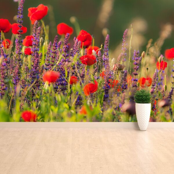 Carta da parati Fiori di campo 104x70 cm