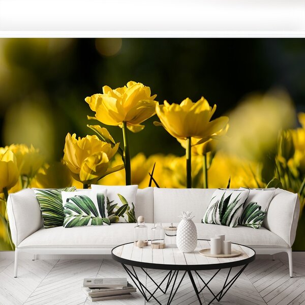 Carta da parati Tulipano giallo 104x70 cm