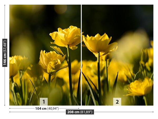Carta da parati Tulipano giallo 104x70 cm