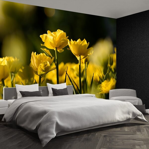 Carta da parati Tulipano giallo 104x70 cm