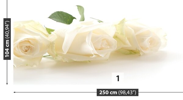 Carta da parati Rose bianche 104x70 cm