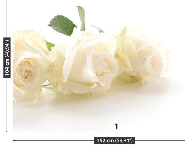 Carta da parati Rose bianche 104x70 cm