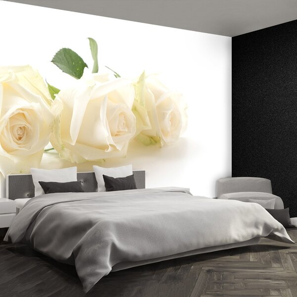 Carta da parati Rose bianche 104x70 cm