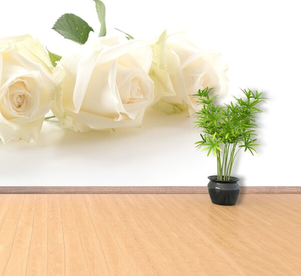 Carta da parati Rose bianche 104x70 cm
