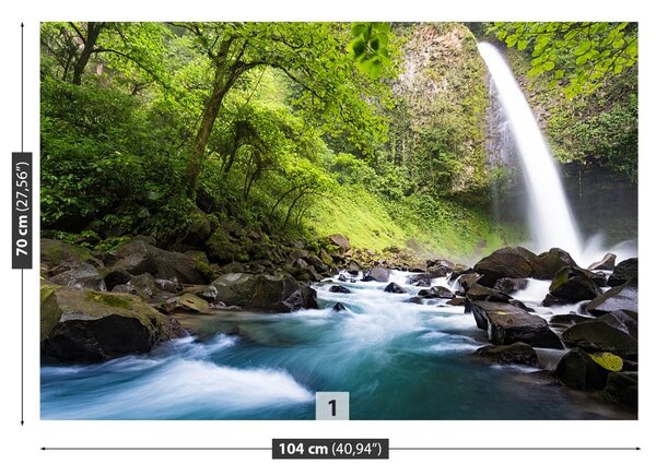 Carta da parati Costa Rica Waterfall 104x70 cm