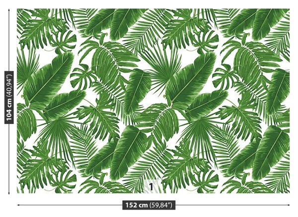 Carta da parati Foglie tropicali 104x70 cm