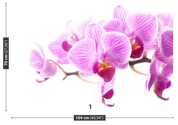 Carta da parati Orchidea rosa 104x70 cm