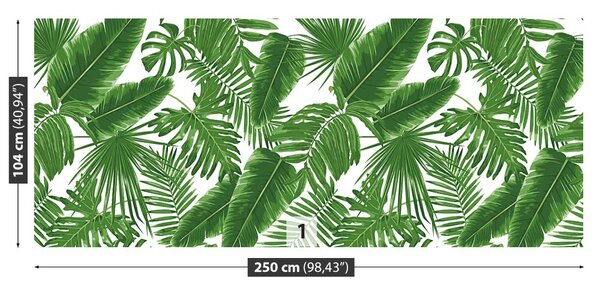 Carta da parati Foglie tropicali 104x70 cm