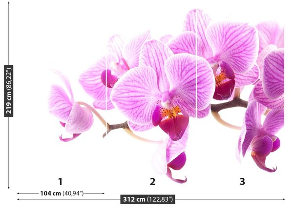 Carta da parati Orchidea rosa 104x70 cm