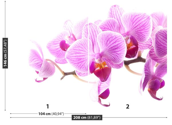 Carta da parati Orchidea rosa 104x70 cm