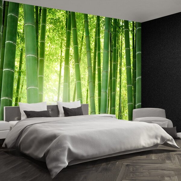 Carta da parati Foresta di bamboo 104x70 cm