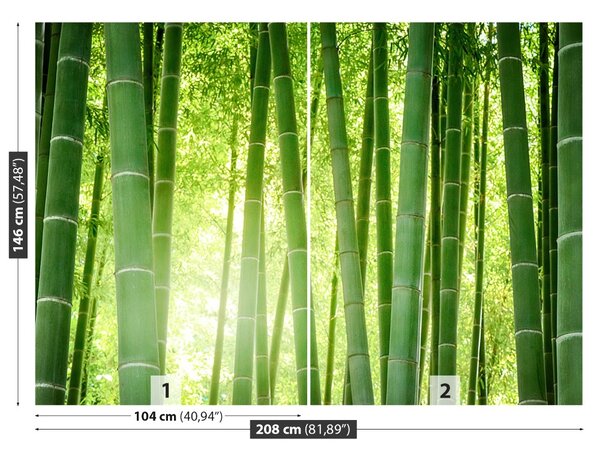 Carta da parati Foresta di bamboo 104x70 cm