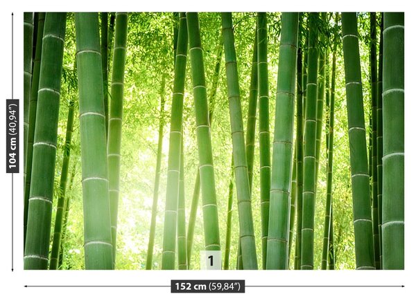 Carta da parati Foresta di bamboo 104x70 cm