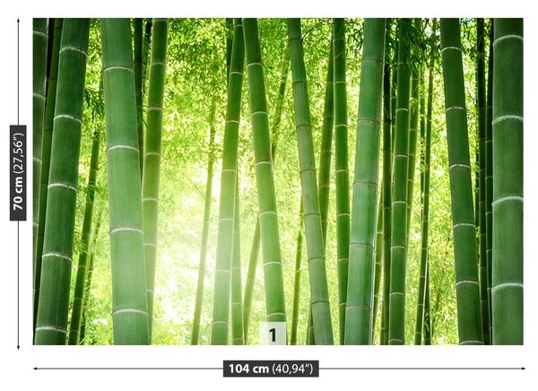 Carta da parati Foresta di bamboo 104x70 cm