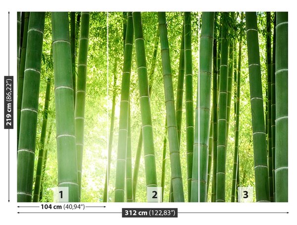 Carta da parati Foresta di bamboo 104x70 cm